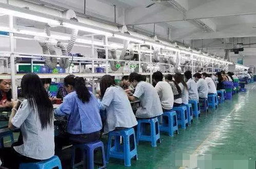 无学历无技术背景下的职业新选择 技术推广岗位的可行性分析