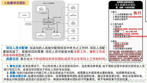 信息系统集成服务中的项目人力资源管理